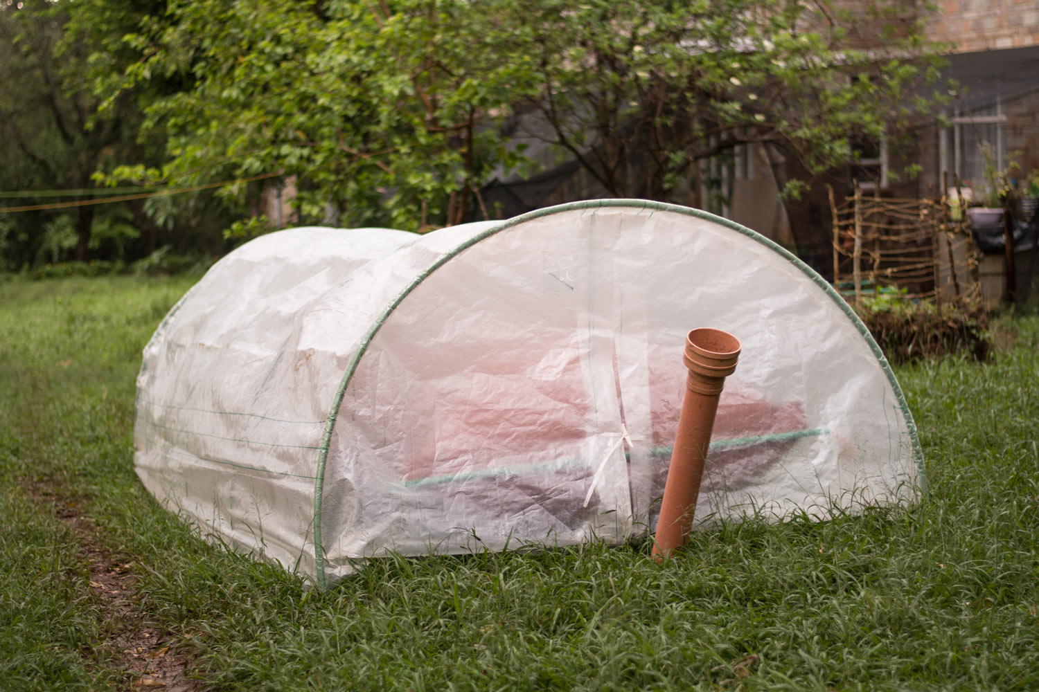 Domestic Biogas