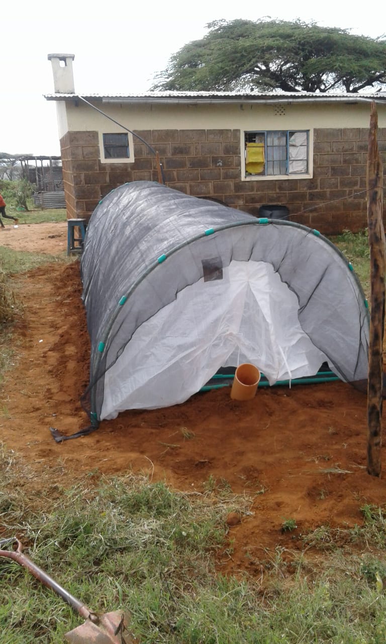 Flexi Biogas Overview 1