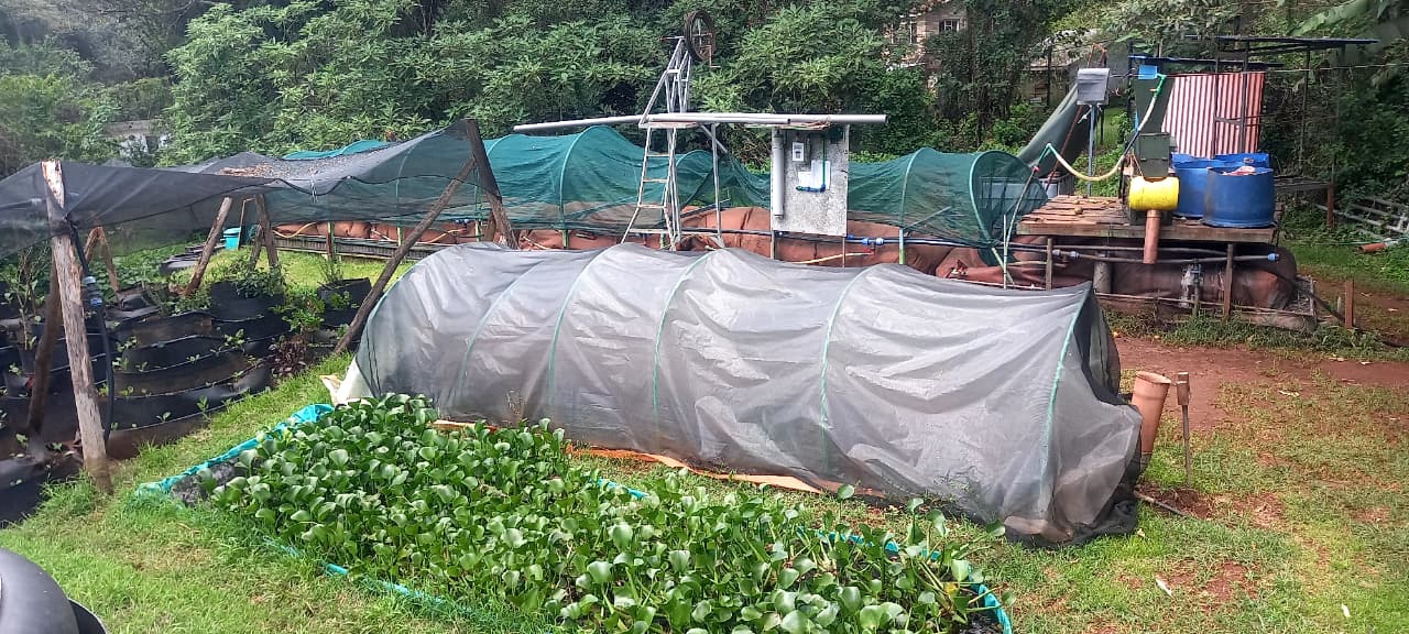 ./flexi_trex_biogas_1773055021725