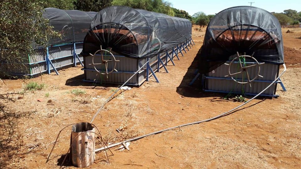 ZIWANI FARM COMMERCIAL FLEXI BIOGAS T-REX T75 FLEXI BIOGAS T-REX 75