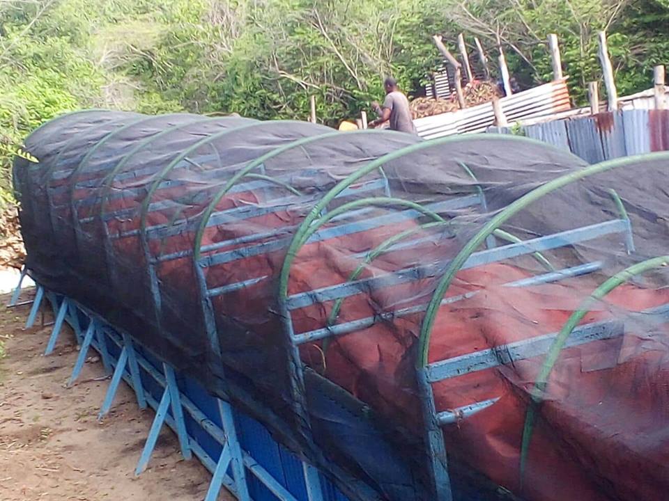 COMMERCIAL FLEXI BIOGAS T-REX T25 COMMERCIAL FLEXI BIOGAS T-REX T25