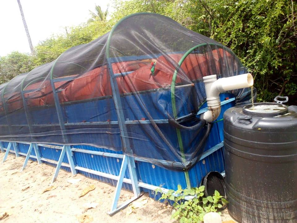 MURINGA ESTATE FLEXI BIOGAS COMMERCIAL SYSTEM KILIFI T25