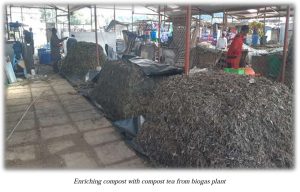 compost manure, organic fertiliser, circular economy