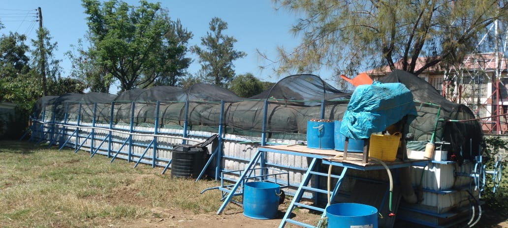 biogas in Kenya, flexi biogas