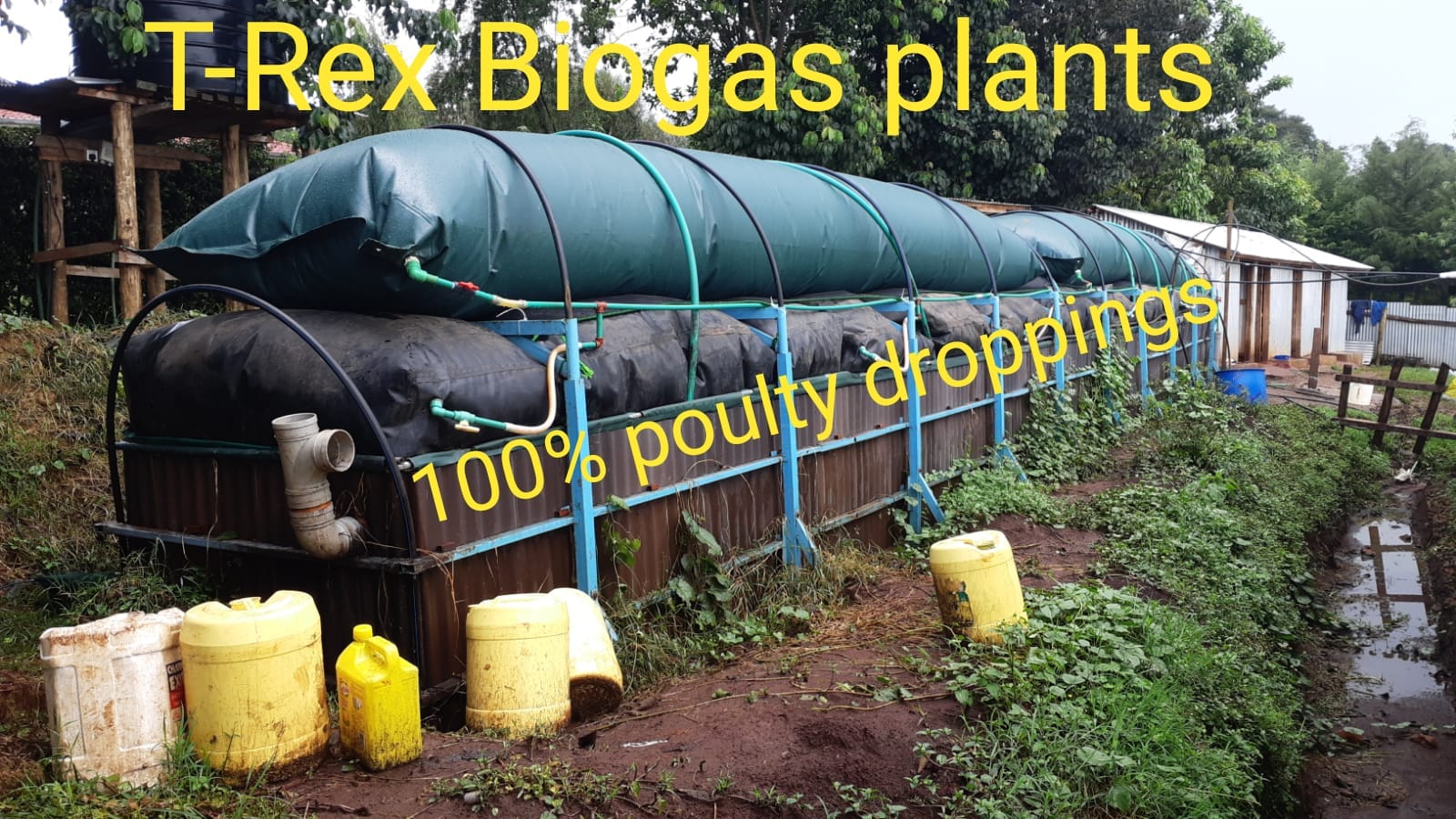 biogas plastic bag digester 10m3 biogas| Alibaba.com