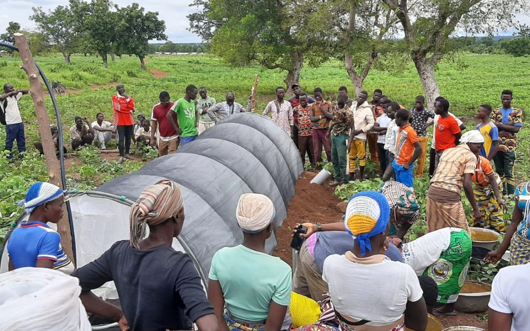 Flexi Biogas Solutions in Togo
